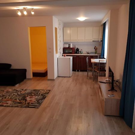 Apartament 1 Central Târgu-Mureş Εξωτερικό φωτογραφία